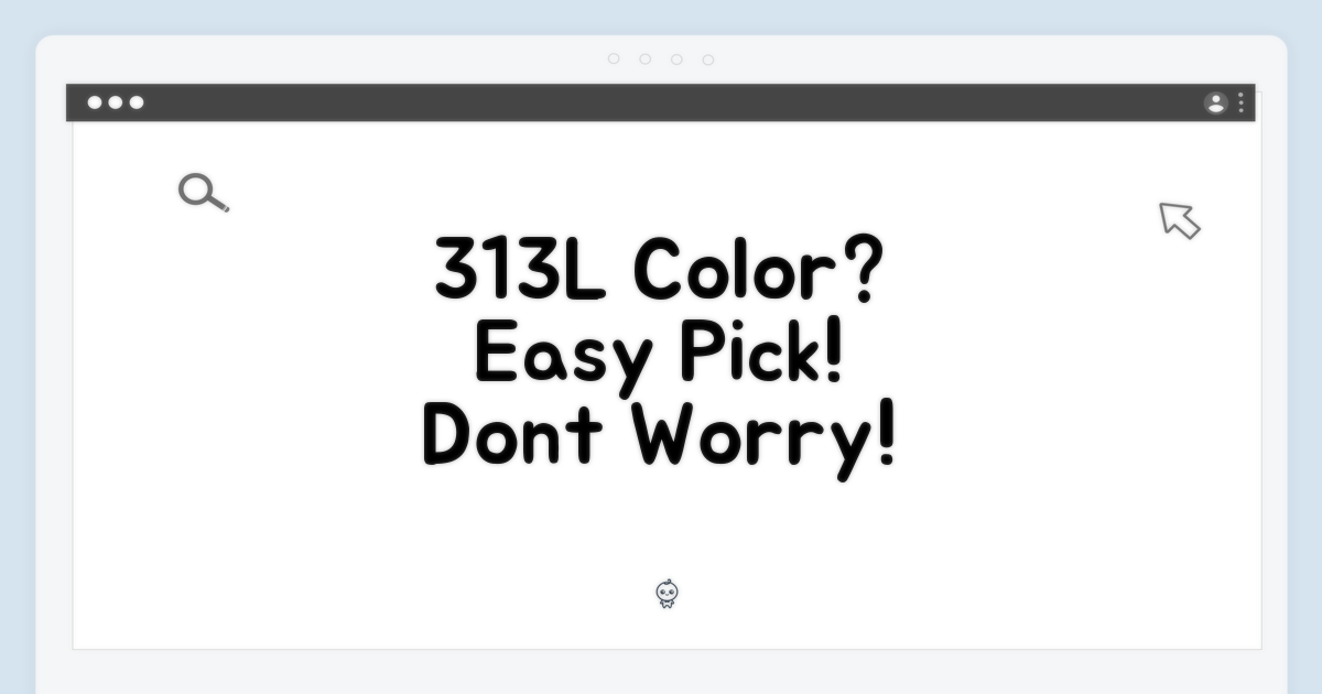 313L, 색상 선택 어렵지 않을까?