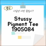 스투시 피그먼트 티 1905084 마스터 가이드