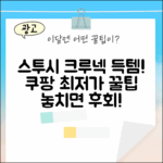 믿기지 않는! 스투시 베이직 크루넥 반팔티 득템 팁