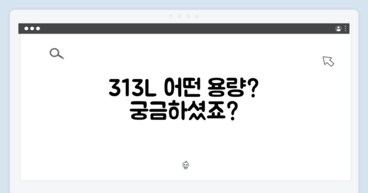 313L, 어떤 용량일까요?