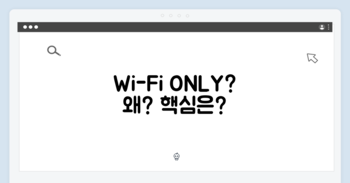 왜 WIFI 전용 모델일까?