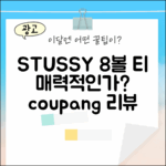 STUSSY 8볼 피그먼트 반팔티, 매력적일까요?