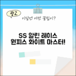 SS 알린 레이스 원피스 화이트 마스터하기
