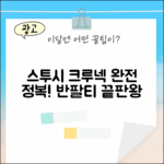 스투시 베이직 크루넥 반팔티 완전 정복 가이드