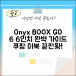 오닉스 북스 GO 6: 6인치 이북 완벽 가이드