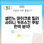 국내백화점] 셀린느 마이크로 틸리 샤이니 카프스킨 완벽 가이드