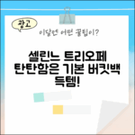 셀린느 트리오페 버킷백, 누구나 탄탄하게!