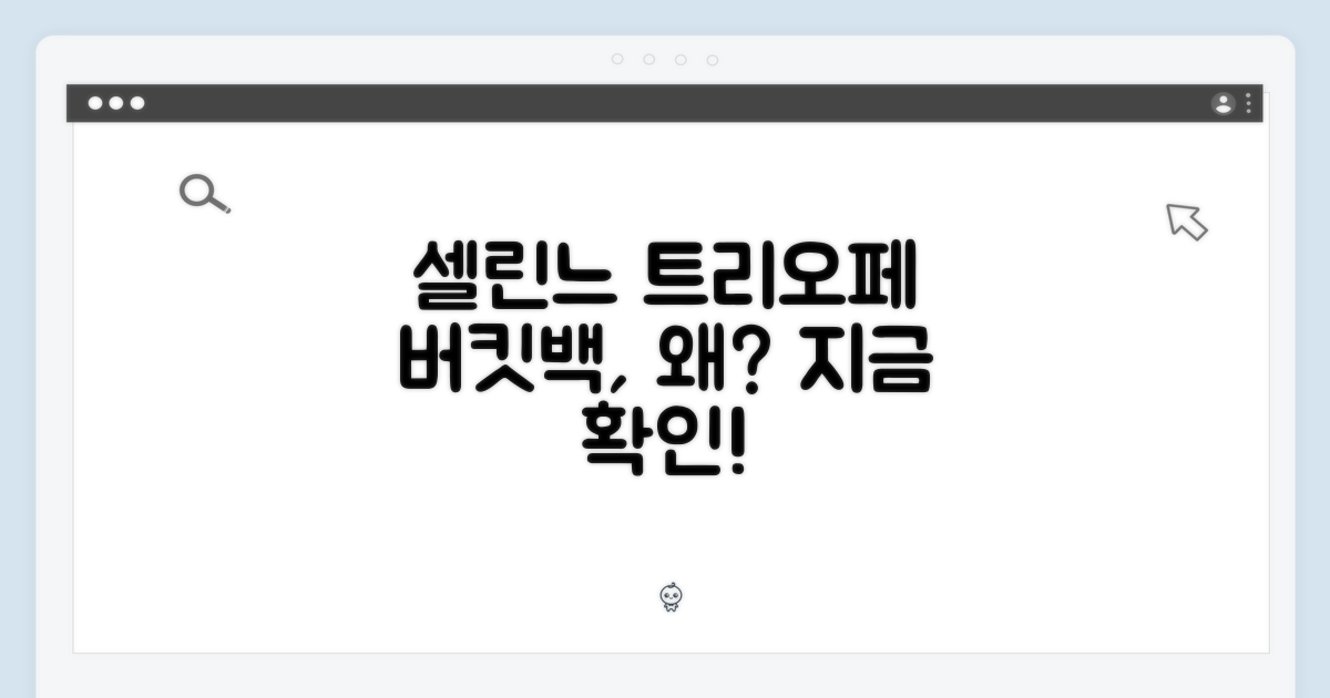 왜 셀린느 트리오페 버킷백인가?