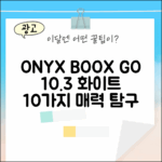 오닉스 북스 고 10.3 화이트, 10가지 매력 탐구