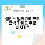 국내백화점] 셀린느 마이크로 틸리 완벽 가이드